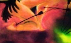 10 - Achillies-Detail © David Gómez