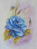 54 - 221 Blue Rose I © María L. Gómez