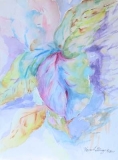 56 - 565G2 Watercolor - María L. Gómez