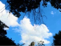 125 - Sky at the Shore © María L. Gómez