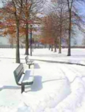 162 - Winter 2010 Bayridge at the Shore © María L. Gómez