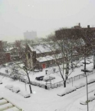 040 - Winter In Bayridge © María L. Gómez