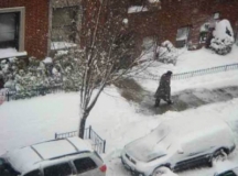 048 - Winter In Bayridge © María L. Gómez
