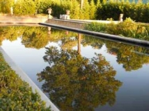 008 - 171 Reflection, SI Snug Harbor © María L. Gómez